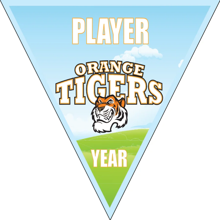 OrangeTigers Soccer Banner-soccer-banner-frame-picture