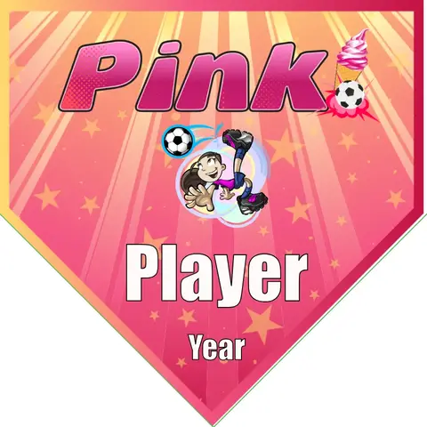 Pink 2 Soccer Banner-soccer-banner-size-picture