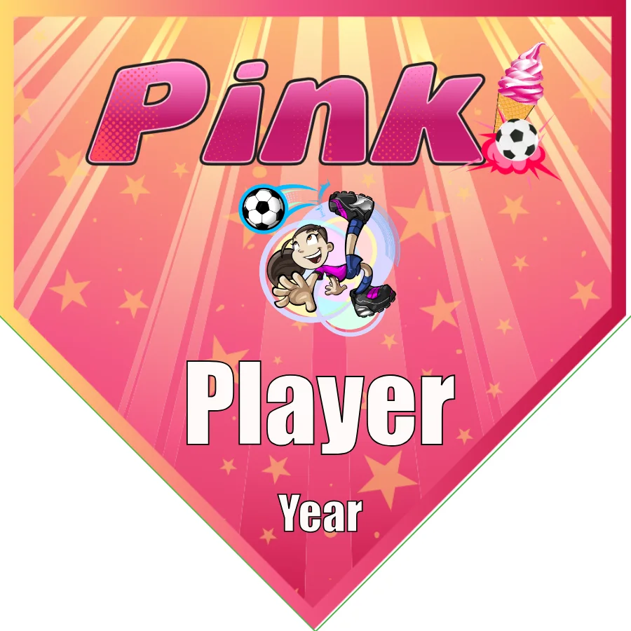 Pink 2 Soccer Banner-soccer-banner-size-picture