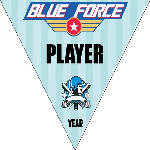Blueforce 1 Softball Banner-softball-team-banner-images