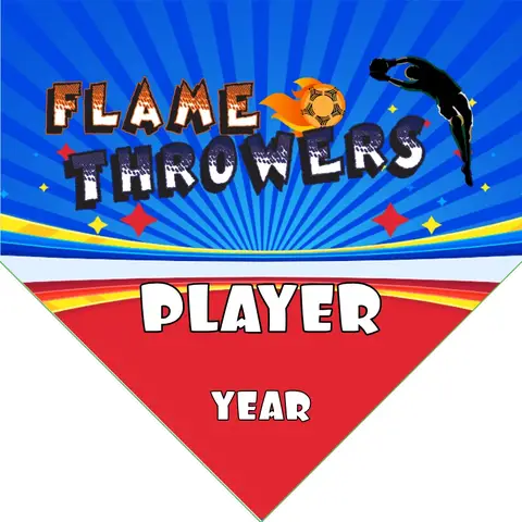 Flame Throwers Soccer Banner-soccer-banners-dimensions-picture