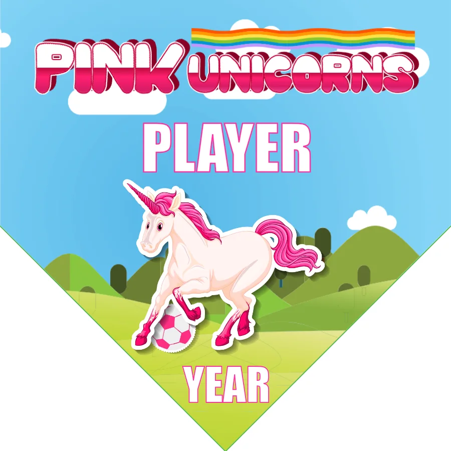 Unicorns Pink Soccer Banner-soccer-banners-picture