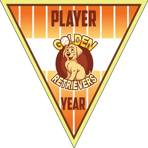 Golden Retrievers 2-yellow-orange-triangle-handmade-softball-banners-images