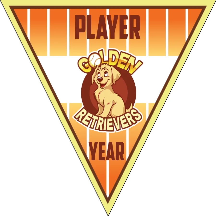 Golden Retrievers 2-yellow-orange-triangle-handmade-softball-banners-images
