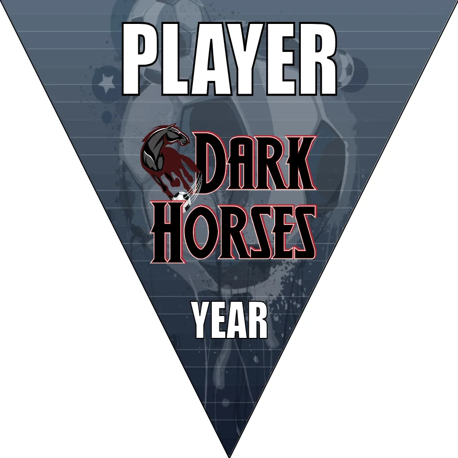 Dark Horses 2 Soccer Banner-soccer-blade-banners-picture