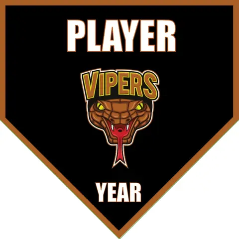 Vipers Soccer Banner-soccer-banner-picture