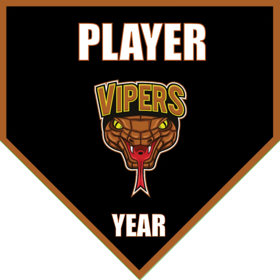 Vipers Soccer Banner-soccer-banner-picture