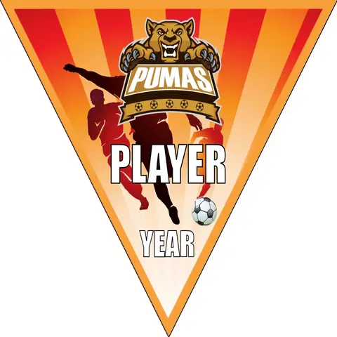 Pumas 1 Soccer Banner-soccer-team-banner-picture
