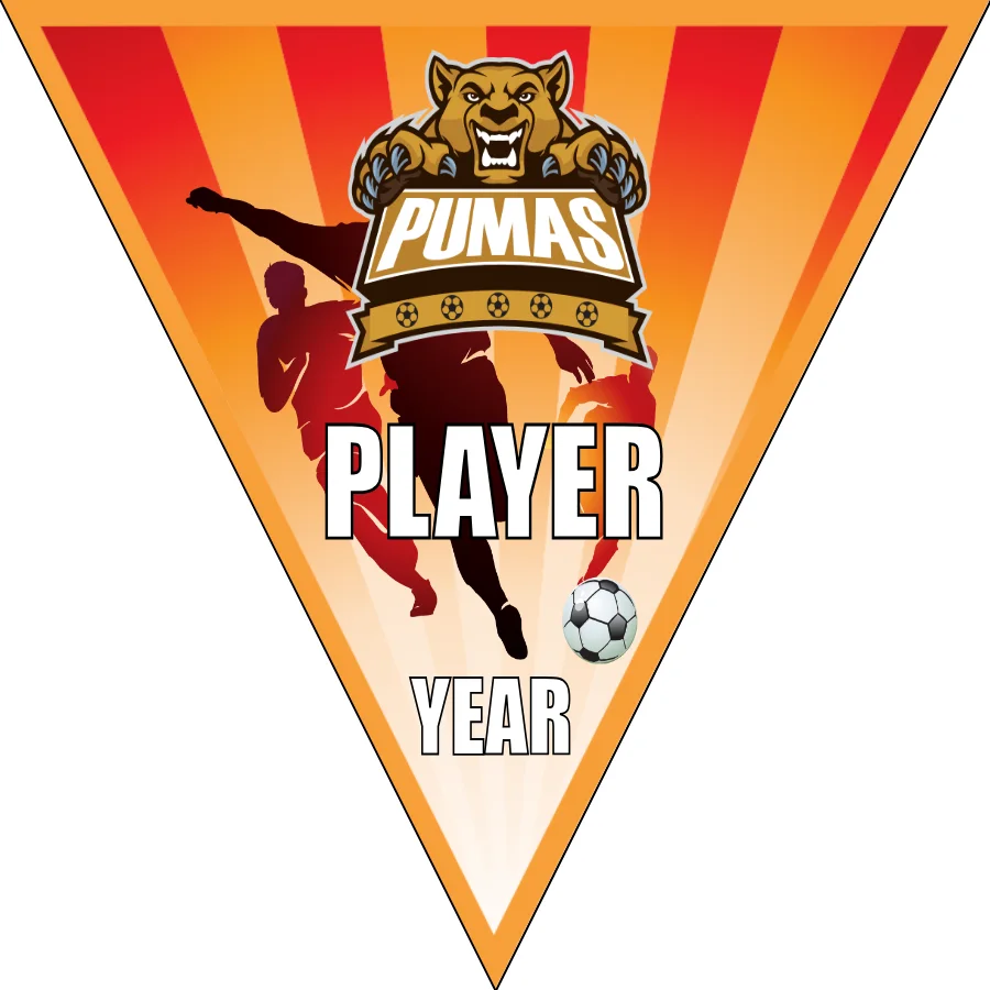 Pumas 1 Soccer Banner-soccer-team-banner-picture