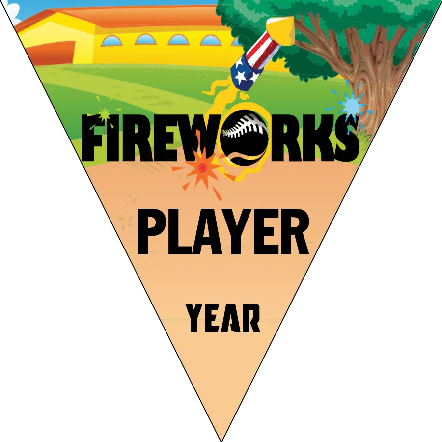 Fireworks 1 Softball Banner-custom-softball-banner-images