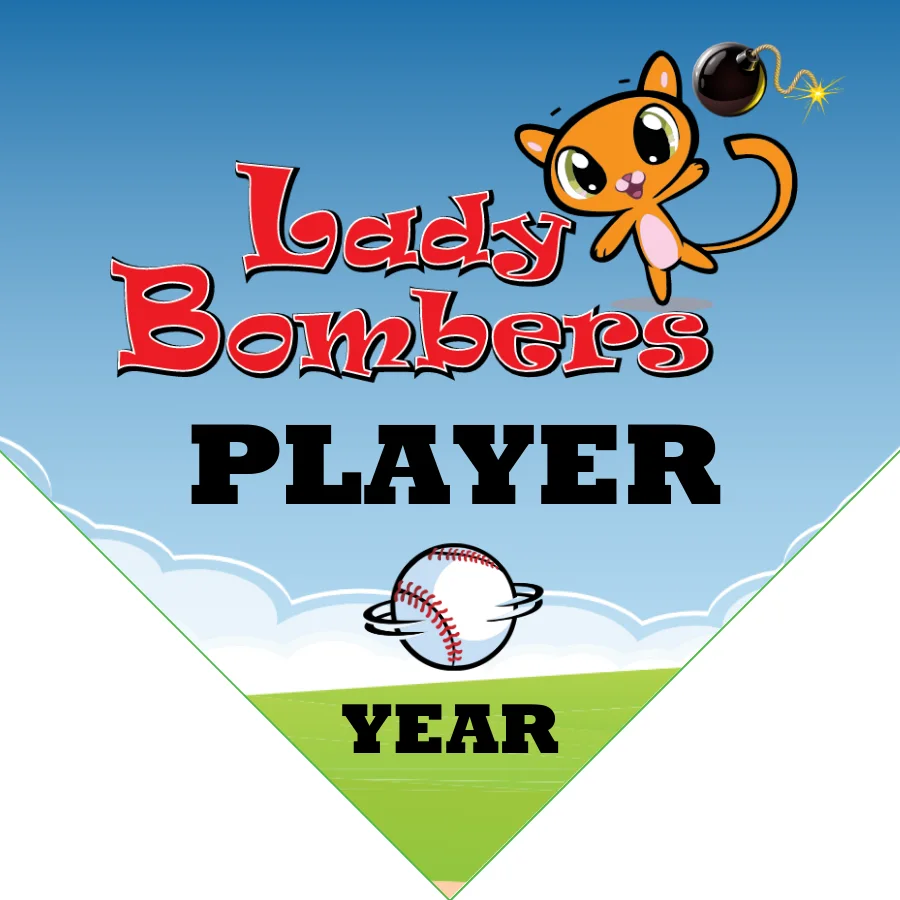 LadyBombers 2 Softball Banner-softball-dugout-banner-images