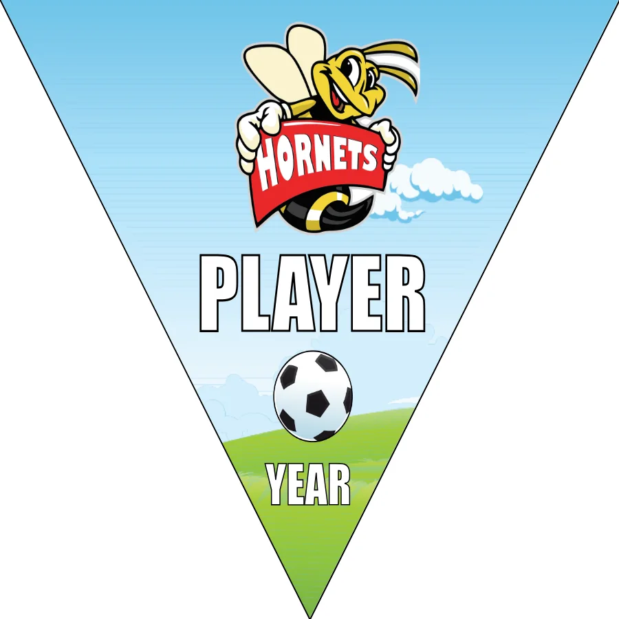 Hornets Soccer Banner-soccer-senior-banners-picture