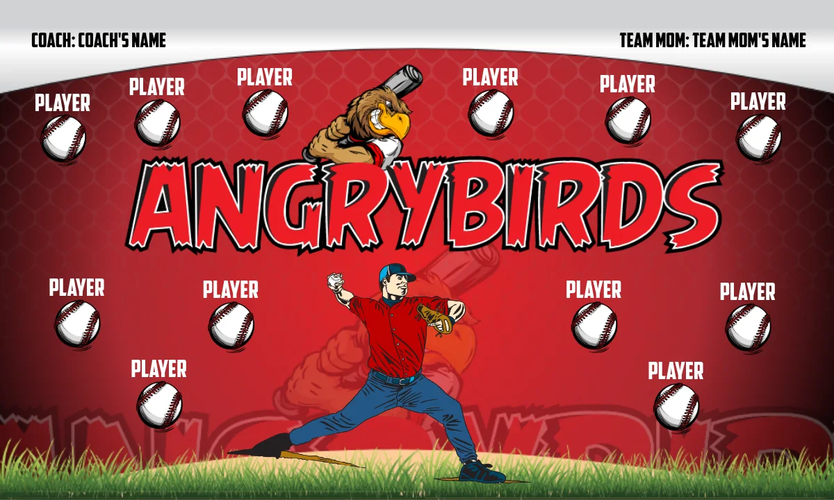 Angrybirds 4 Baseball Banner-baseball-team-banners-ideas-images