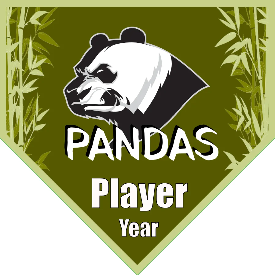 Pandas Soccer Banner-soccer-banner-size-picture