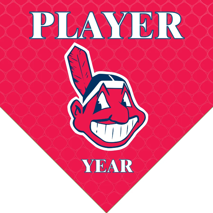 Indians1 Baseball Banner-baseball-banner-birthday-images