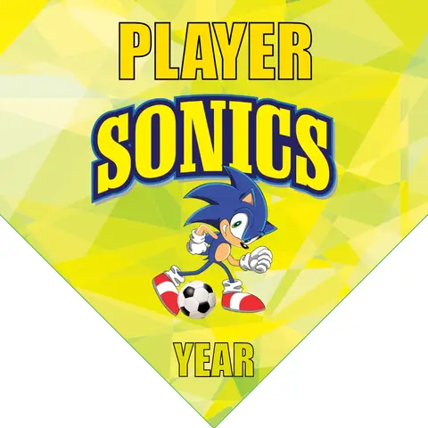 Sonics Soccer Banner-soccer-banner-picture