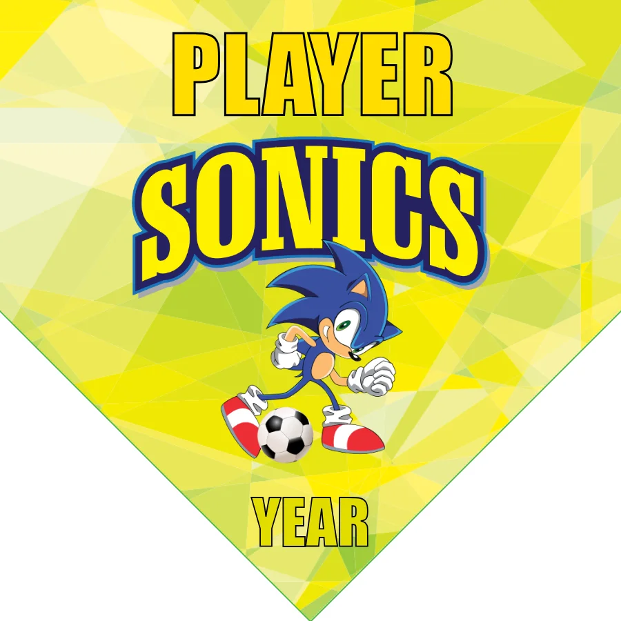 Sonics Soccer Banner-soccer-banner-picture