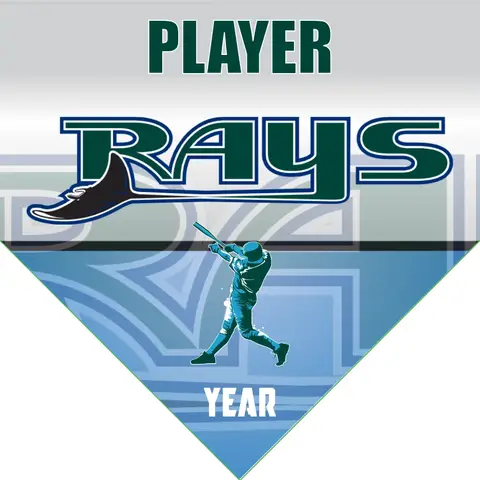 Rays Baseball Banner-baseball-party-banners-images