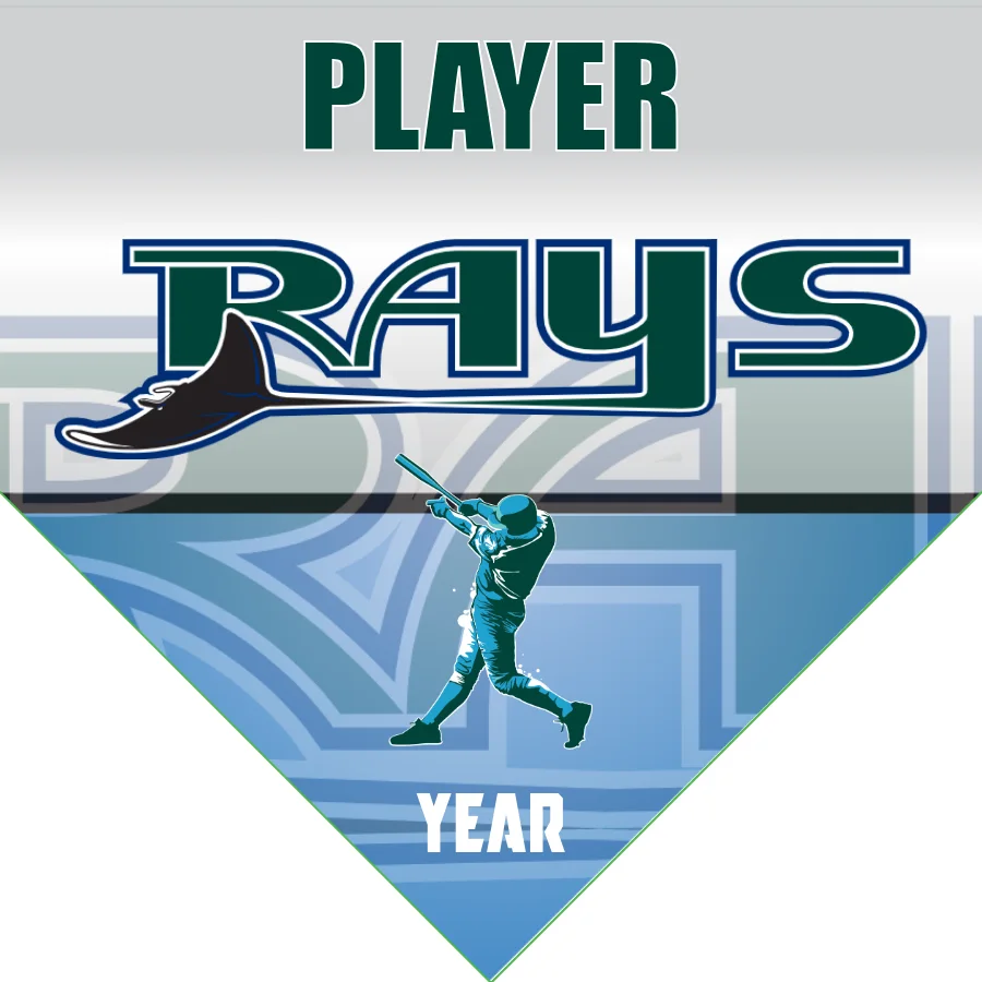 Rays Baseball Banner-baseball-party-banners-images