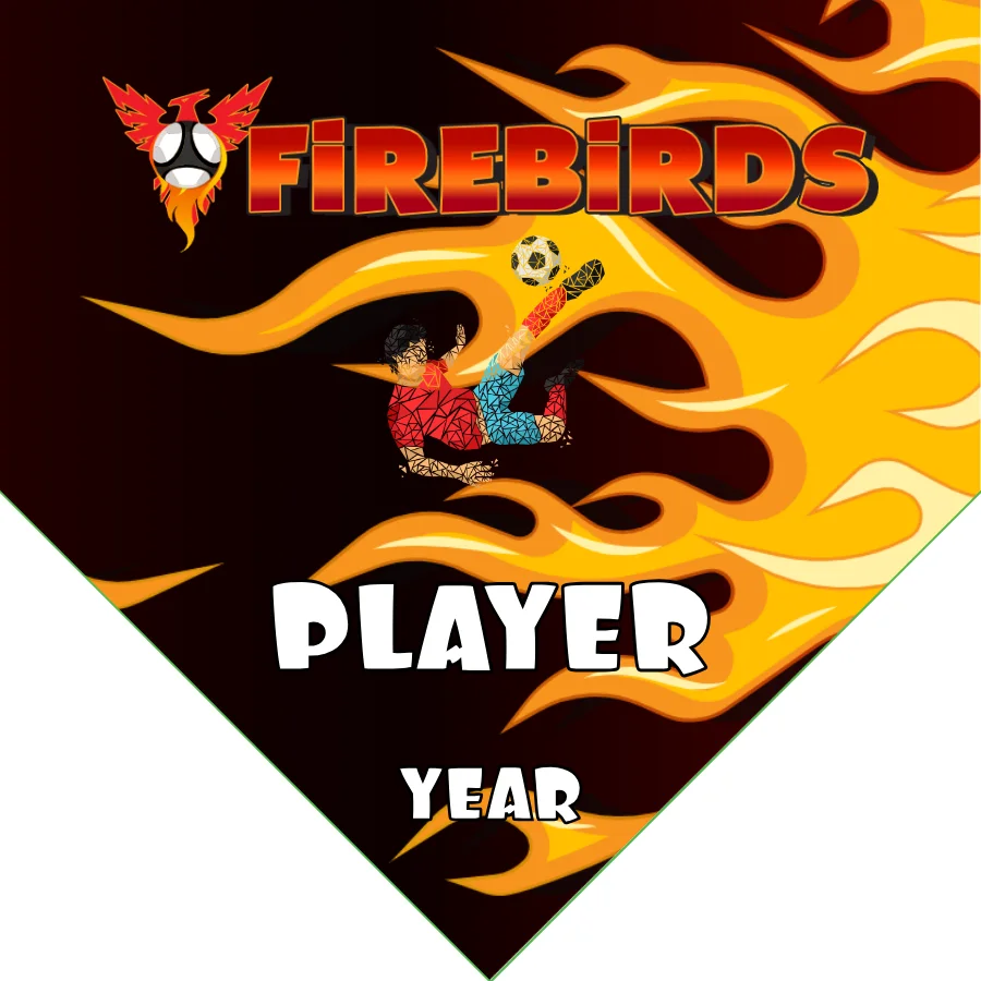 Firebirds Soccer Banner-soccer-banners-temecula-ca-picture