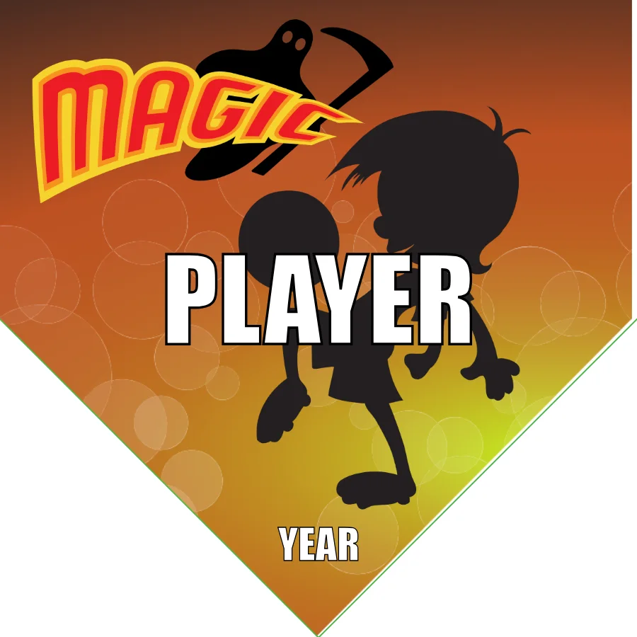 Magics Soccer Banner-soccer-field-banners-picture