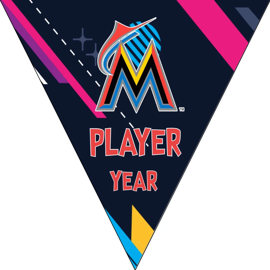 Miami Marlins 2 Baseball Banner-tim-banner-baseball-coach-images