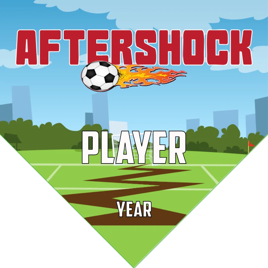 Aftershock Soccer Banner-soccer-banners-picture