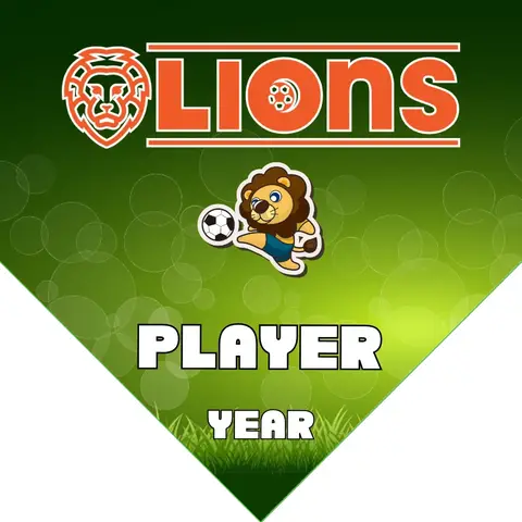 Lions 4 Soccer Banner-soccer-field-banners-picture