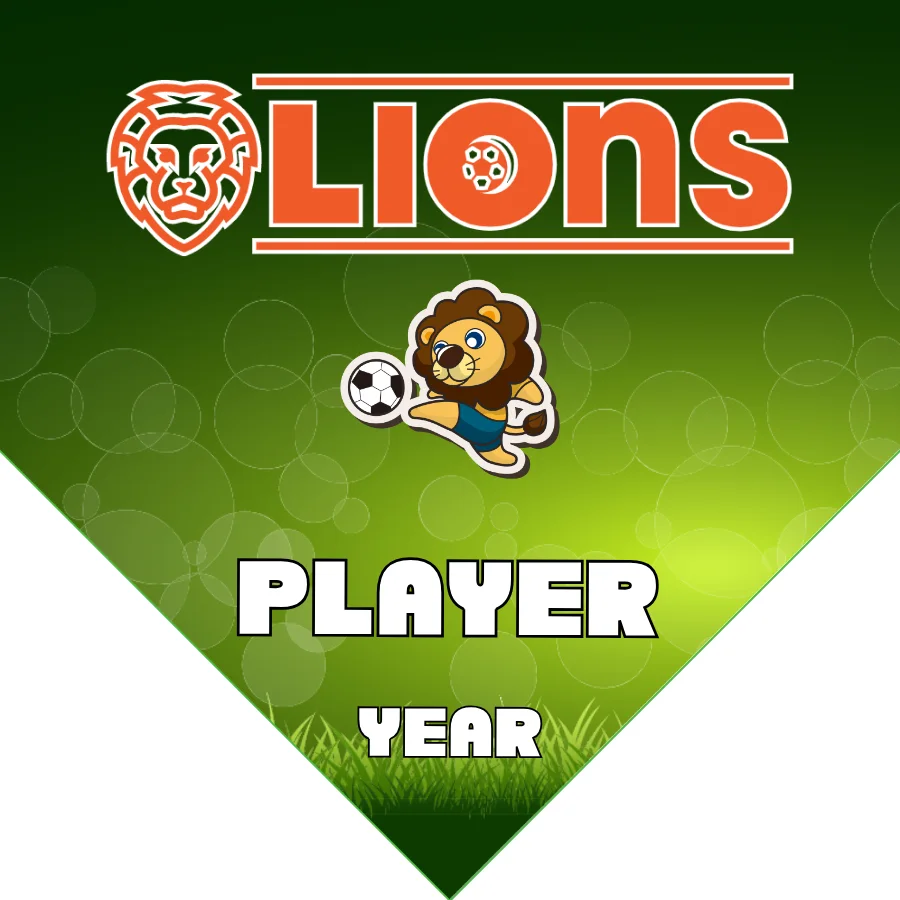 Lions 4 Soccer Banner-soccer-field-banners-picture