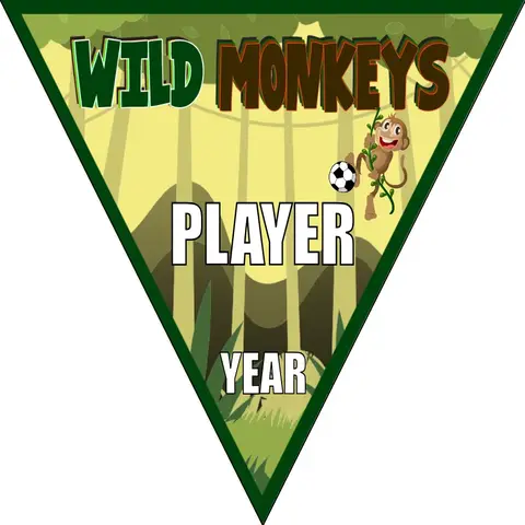 Monkeys Wild Soccer Banner-soccer-banner-stand-picture
