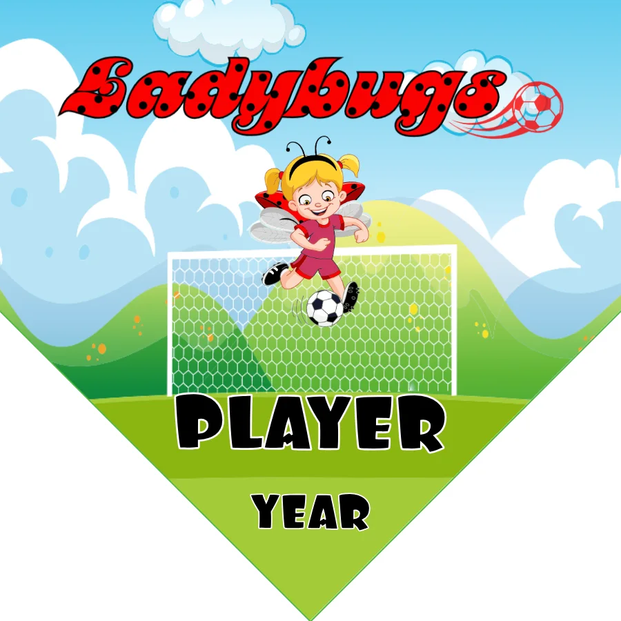 Ladybugs Soccer Banner-soccer-ball-banner-picture