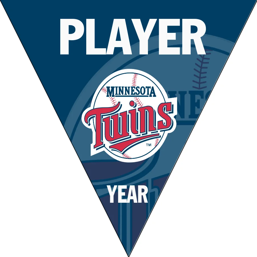 Twins 2 Baseball Banner-vintage-baseball-banners-images