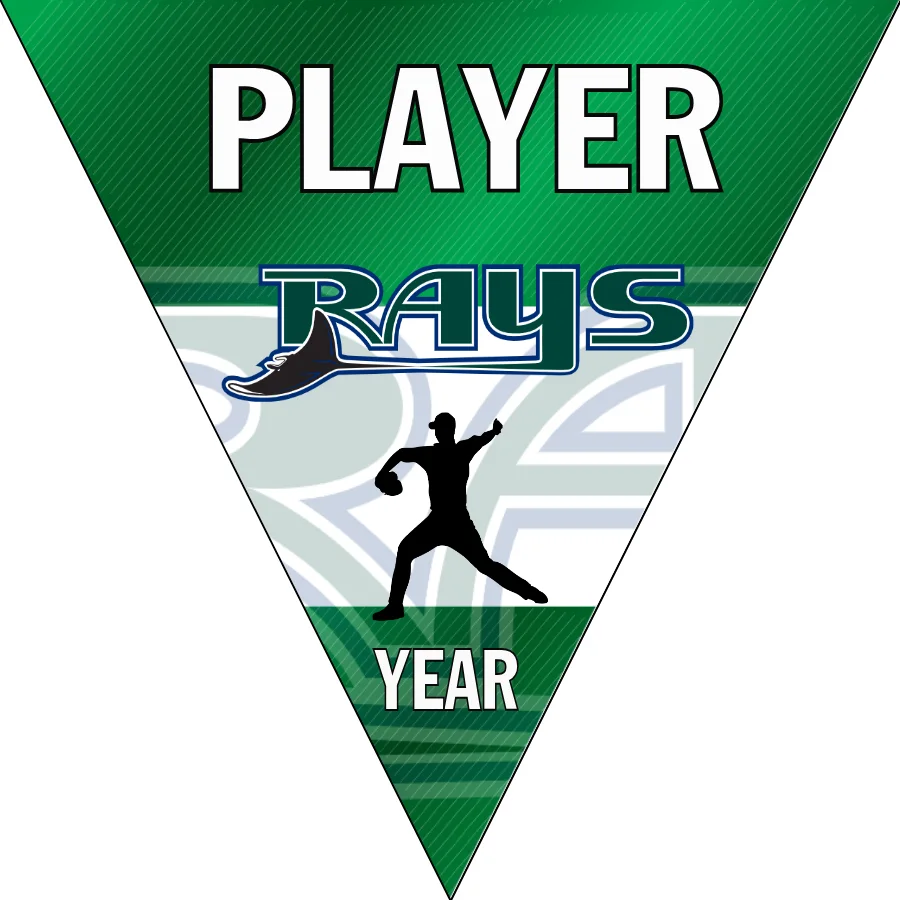 Rays 2 Baseball Banner-digital-baseball-banners-images