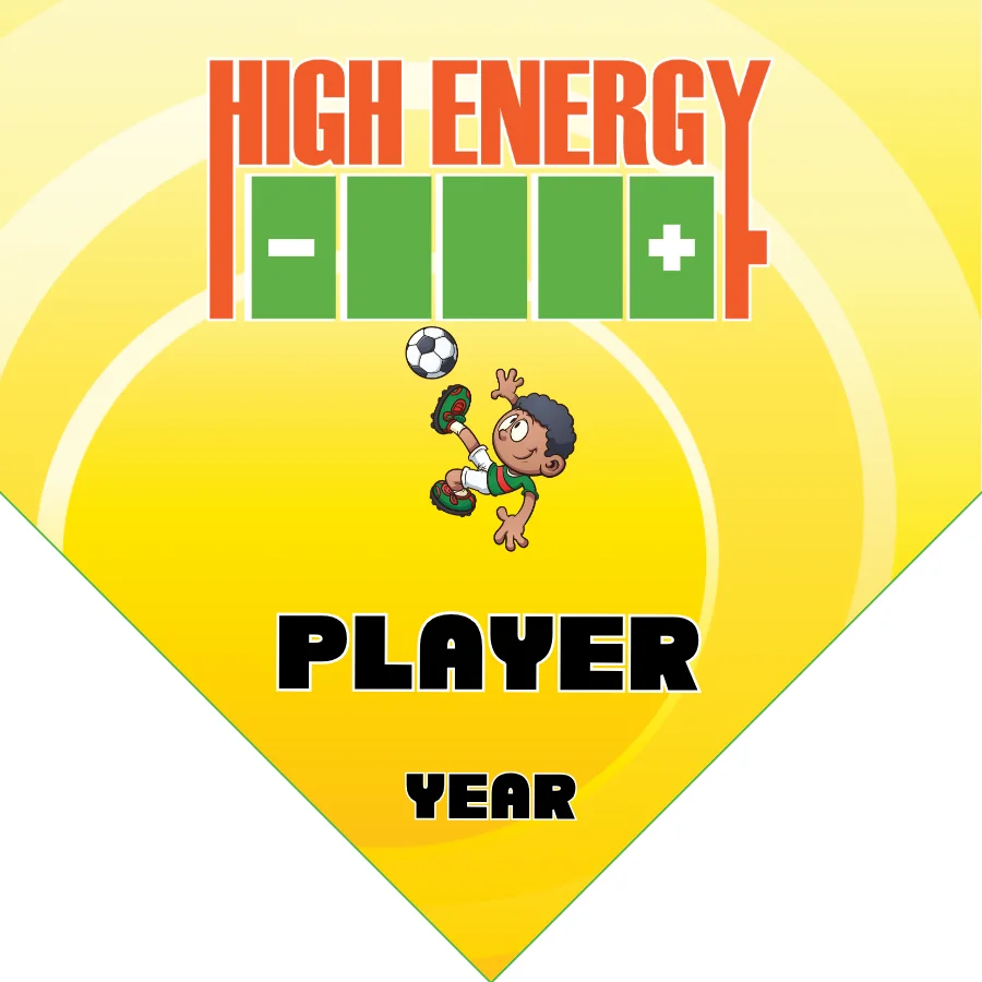 High Energy Soccer Banner-vinyl-soccer-team-banner-picture