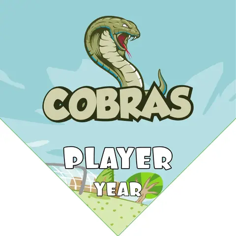Cobras 2 Soccer Banner-soccer-banner-holder-picture