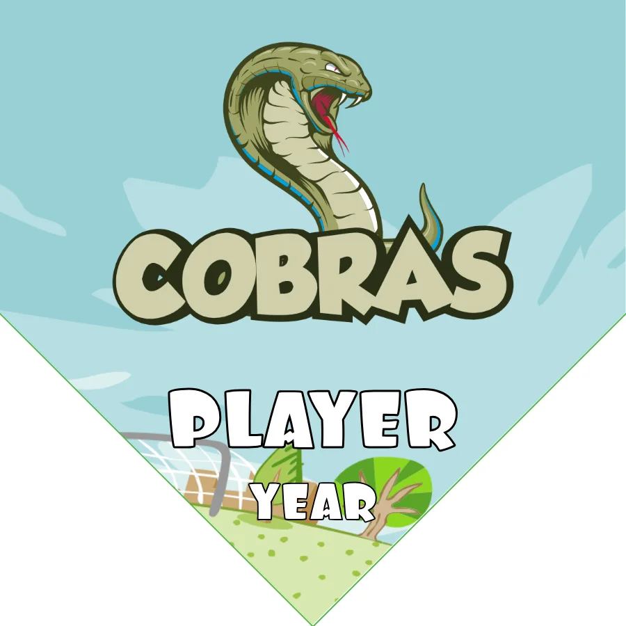 Cobras 2 Soccer Banner-soccer-banner-holder-picture
