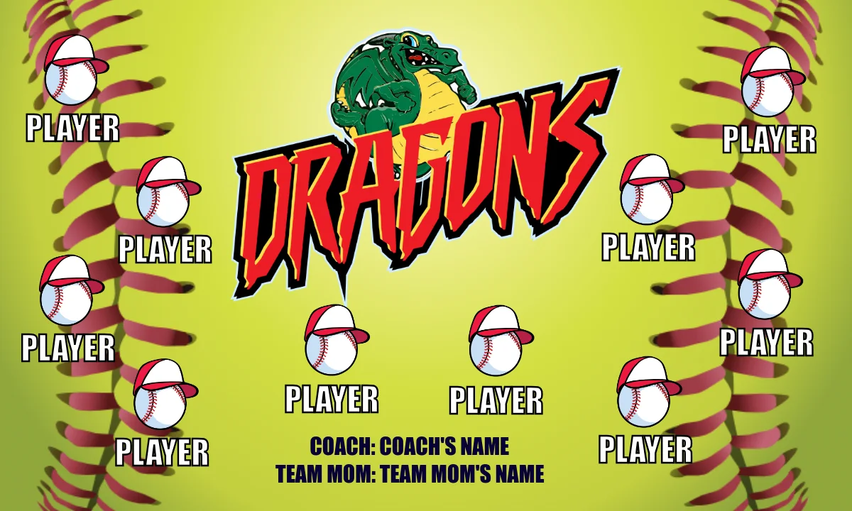 Dragons 2 Softball Banner
