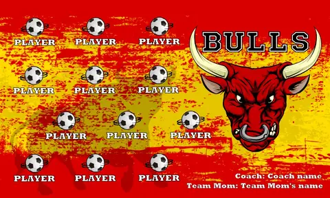Bulls 2 Soccer Bannersoccer-team-banners-ayso