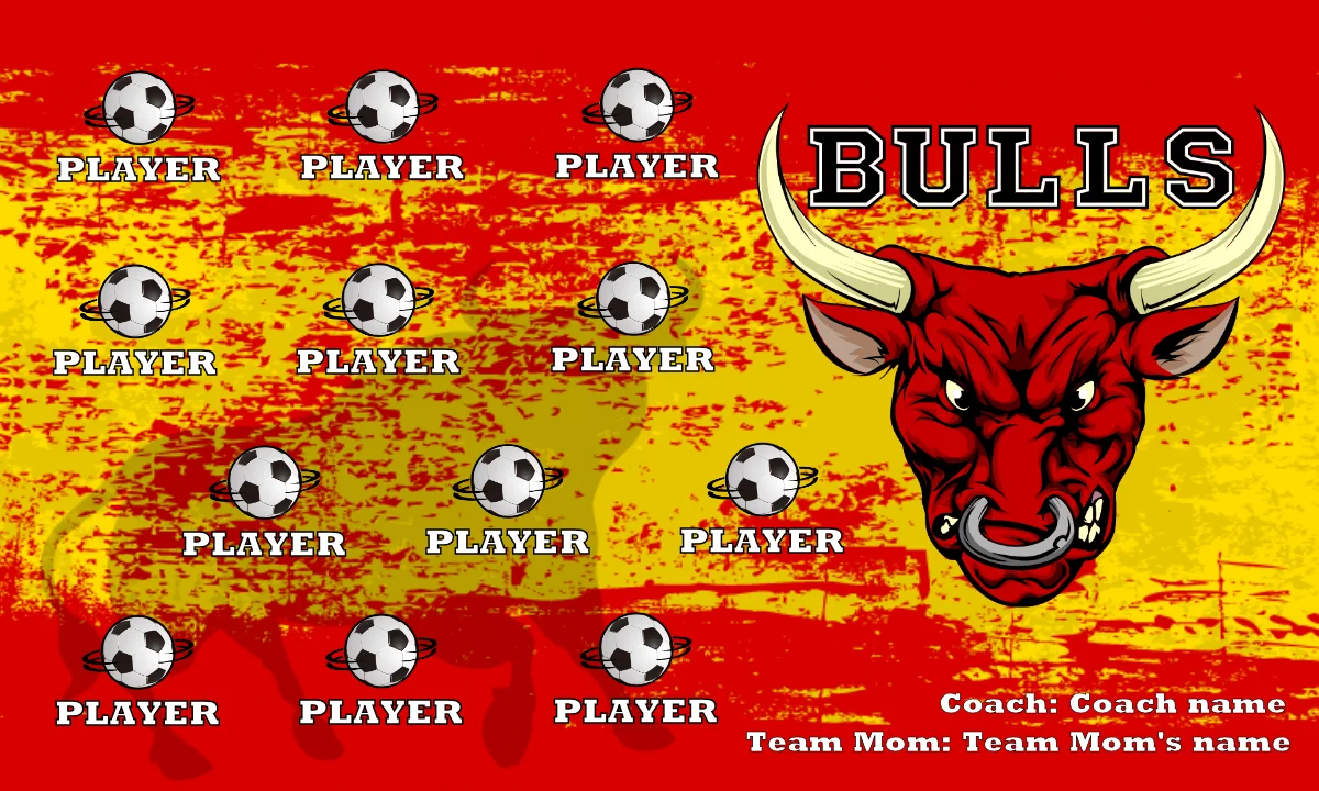 Bulls 2 Soccer Bannersoccer-team-banners-ayso