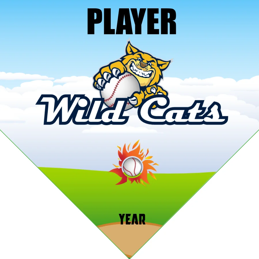 Wild Cats 1 Softball Banner-softball-player-banners-picture