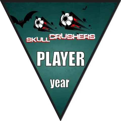 Crushers Skull Soccer Banner-soccer-banners-picture