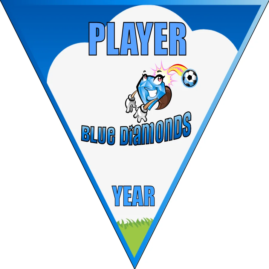Diamonds Blue Soccer Banner-banner-soccer-image