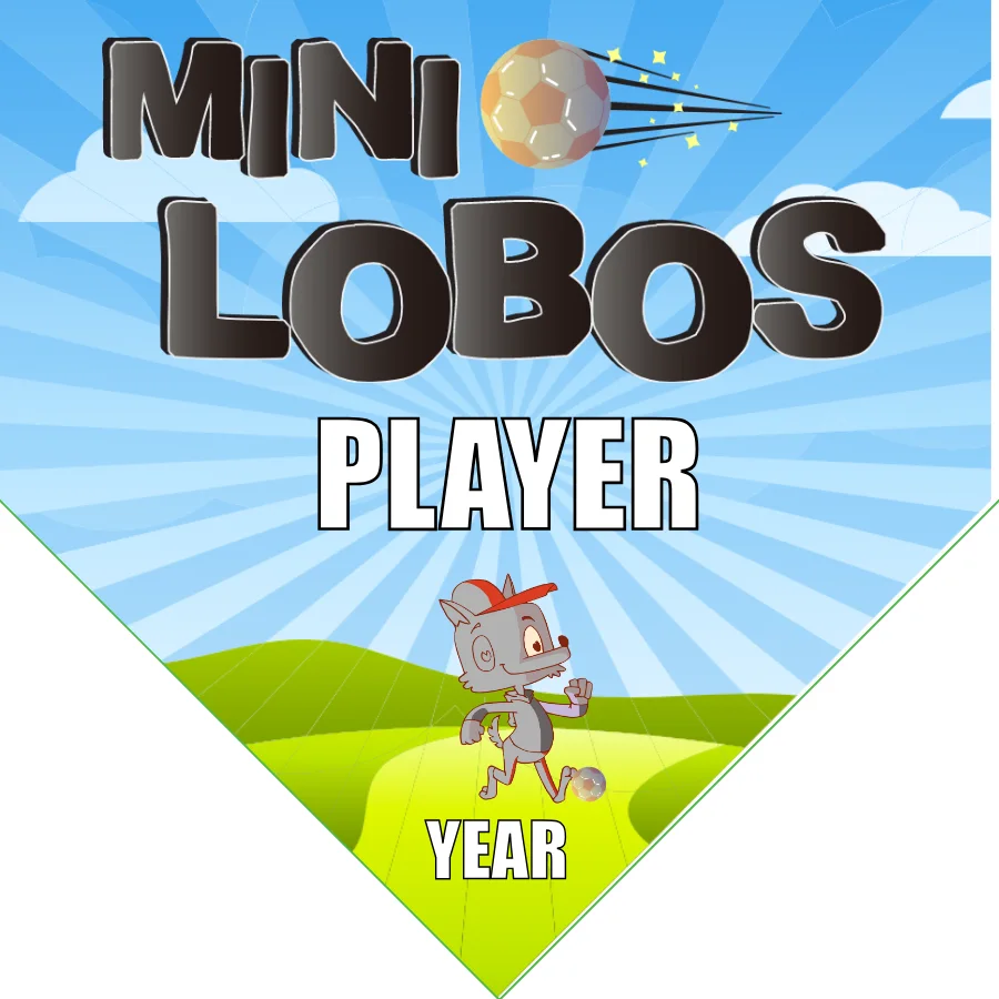 Lobos Mini Soccer Banner-soccer-team-banners-picture