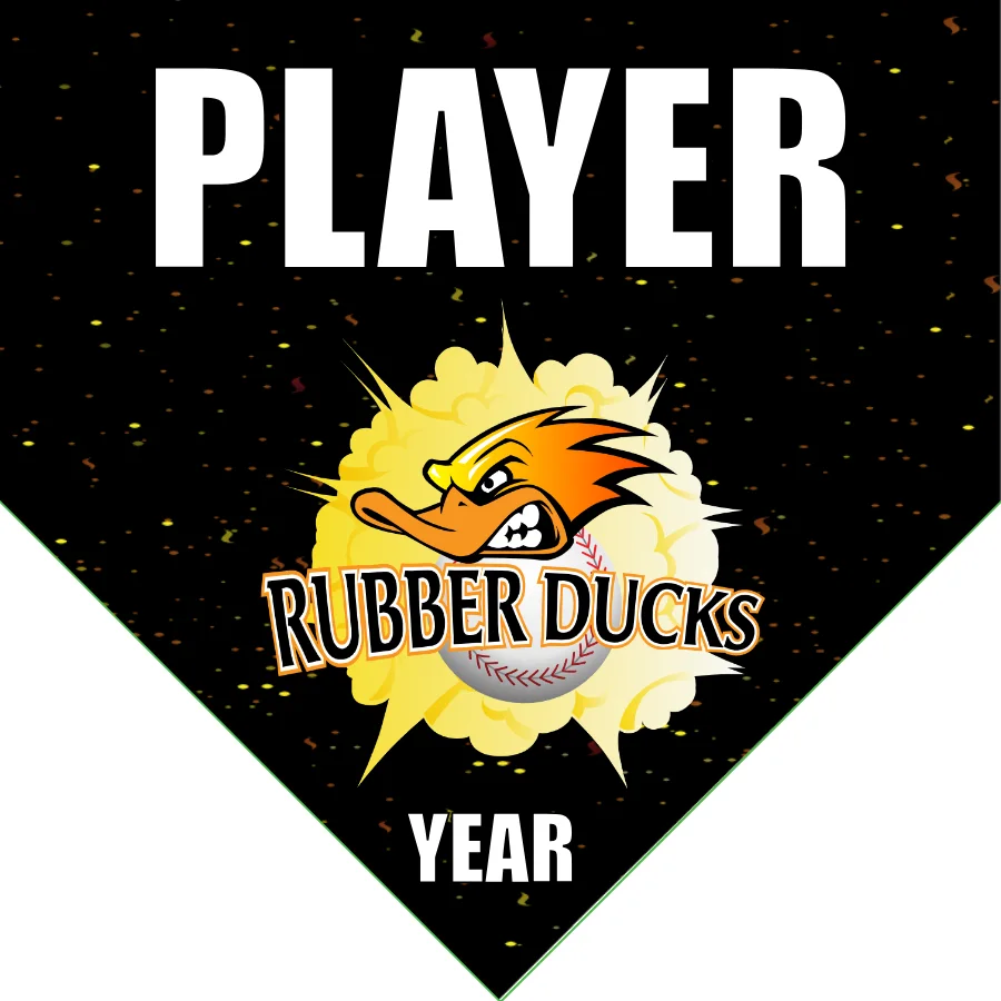 Rubber Ducks Softball Banner-softball-team-photo-banner-images