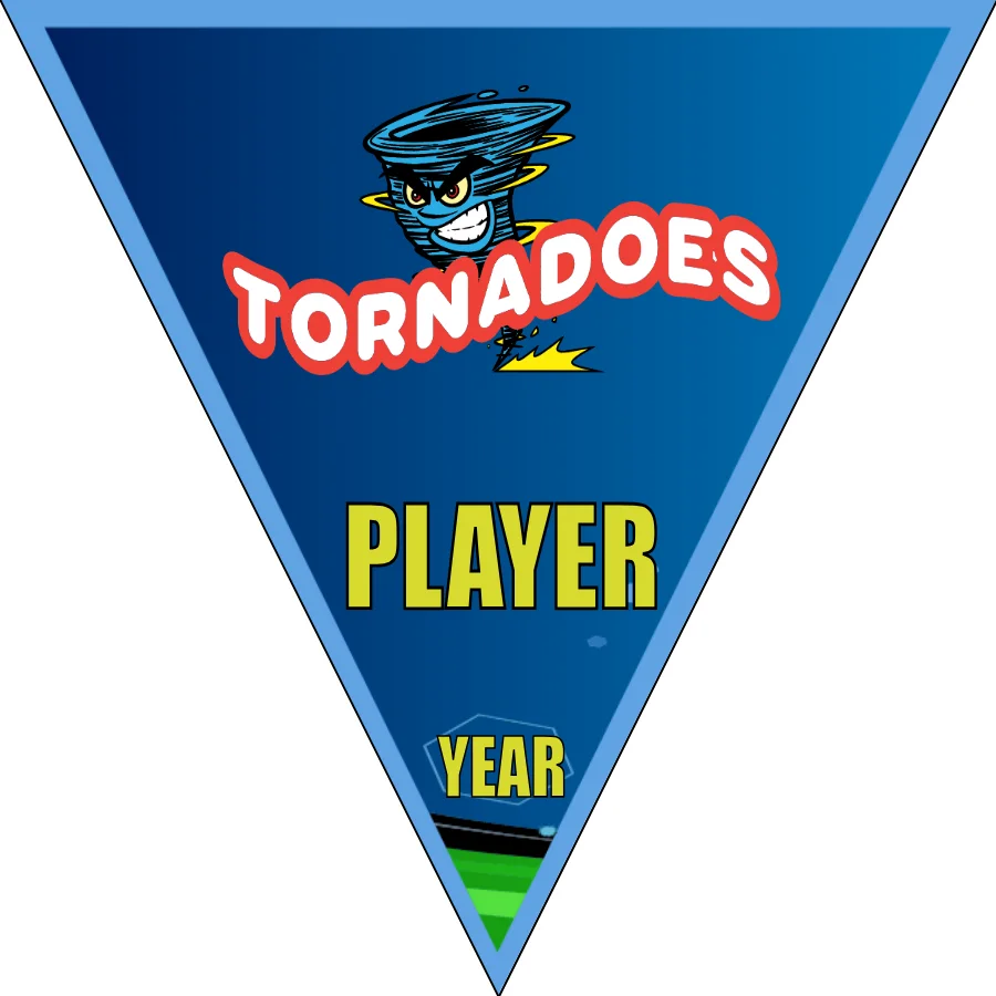 Tonardoes Soccer Banner-youth-soccer-banners-picture