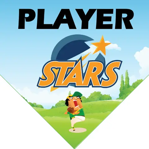 Star1 Softball Banner-fastpitch-softball-team-banners-picture