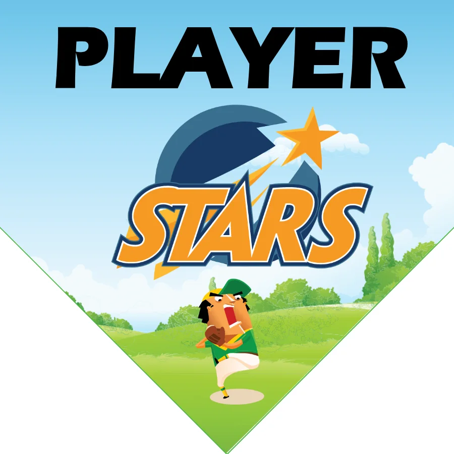 Star1 Softball Banner-fastpitch-softball-team-banners-picture