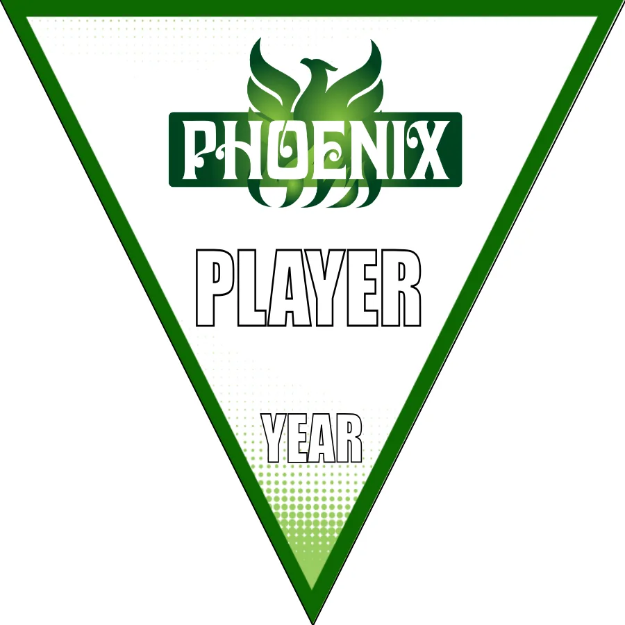 Phoenix 2 Soccer Banner-soccer-banner-frame-picture