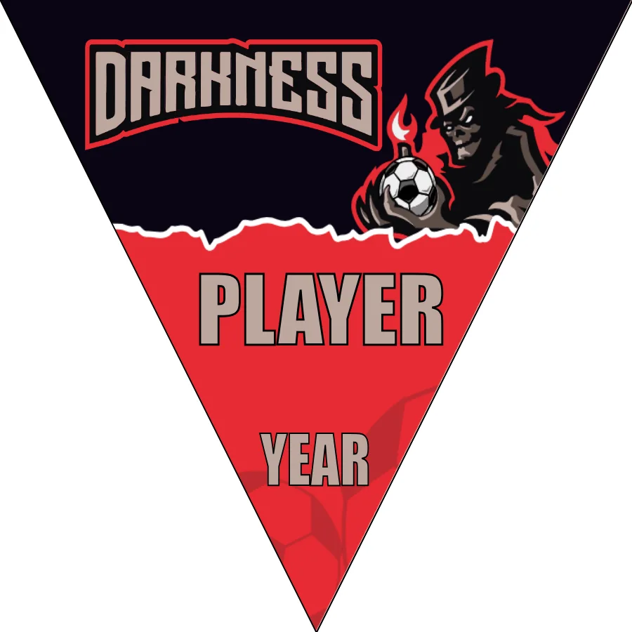 Darkness Soccer Banner-soccer-banner-stand-picture
