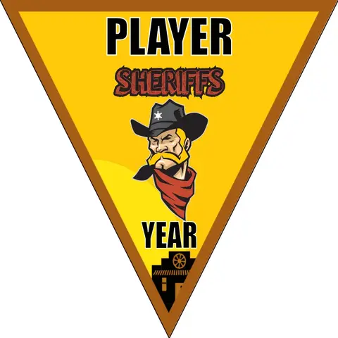 Sheriffs Soccer Banner-soccer-banners-and-flags-picture